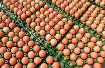  Preços de alimentos e bebidas caem pelo segundo mês consecutivo no Paraná